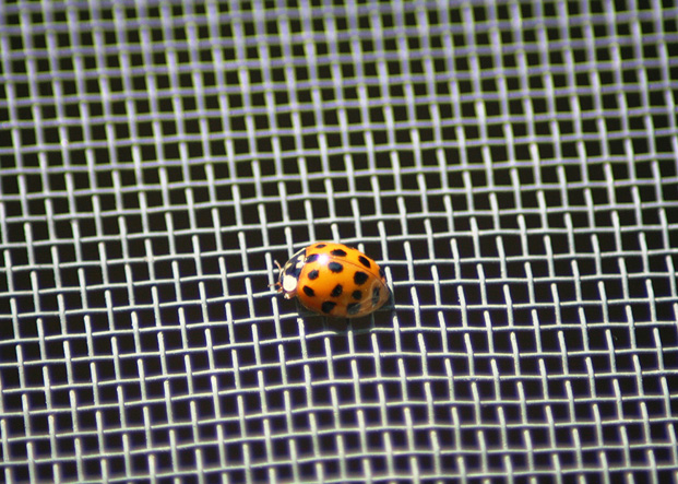 Insect Screening | Grille City